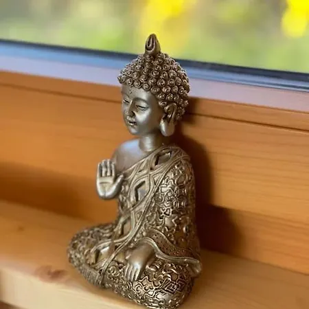 Zweistoeckiges Natur-holzhaus Mit Berg- & Seesicht * Horgenzell